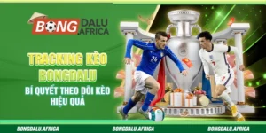 Tracking Kèo Bongdalu – Bí Quyết Theo Dõi Kèo Hiệu Quả 