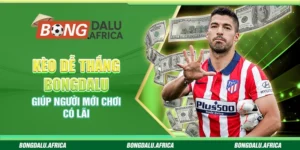 Kèo Dễ Thắng Bongdalu – Giúp Người Mới Chơi Có Lãi