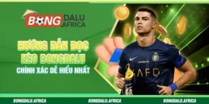 Hướng Dẫn Đọc Kèo Bongdalu – Chính Xác Dễ Hiểu Nhất