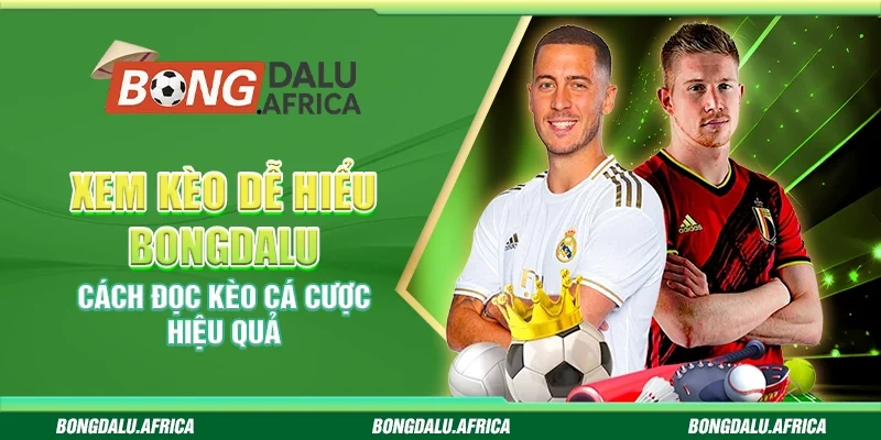 Xem Kèo Dễ Hiểu Bongdalu – Cách Đọc Kèo Cá Cược Hiệu Quả
