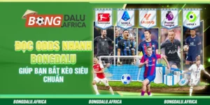 Đọc Odds Nhanh Bongdalu – Giúp Bạn Bắt Kèo Siêu Chuẩn