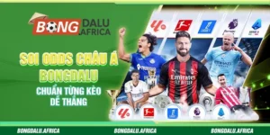 Soi Odds Châu Á Bongdalu – Chuẩn Từng Kèo Dễ Thắng
