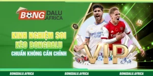 Kinh Nghiệm Soi Kèo Bongdalu – Chuẩn Không Cần Chỉnh