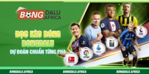 Đọc Kèo Bóng Bongdalu – Dự Đoán Chuẩn Từng Pha