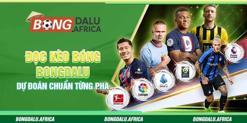 Đọc Kèo Bóng Bongdalu – Dự Đoán Chuẩn Từng Pha