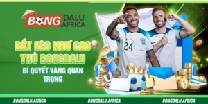 Bắt Kèo Như Cao Thủ Bongdalu - Bí Quyết Vàng Quan Trọng