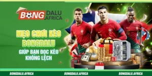 Mẹo Chơi Kèo Bongdalu – Giúp Bạn Đọc Kèo Không Lệch