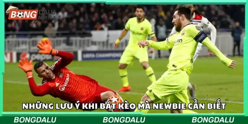 Thời điểm bắt kèo cược tài xỉu hiệu quả