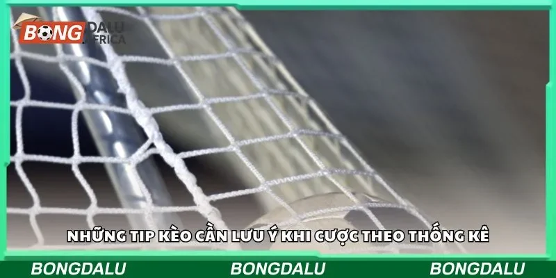 Những tip kèo cần lưu ý khi cược theo thống kê