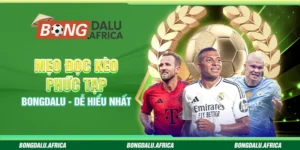 Hướng Dẫn Chọn Kèo Phụ Bongdalu – Dễ Hiểu, Trúng Cao