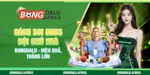 Soi Odds Đội Chủ Nhà Bongdalu – Hiệu Quả, Thắng Lớn