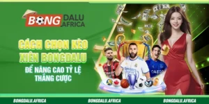 Cách Chọn Kèo Xiên Bongdalu - Nâng Cao Tỷ Lệ Thắng Cược