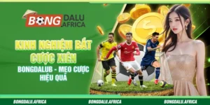 Kinh nghiệm bắt cược xiên bongdalub – Mẹo cược hiệu quả