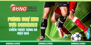 Phòng Ngự Khu Vực Bongdalu – Chiến Thuật Bóng Đá Hiệu Quả 