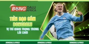 Tiền Đạo Cắm Bongdalu – Vị Trí Quan Trọng Trong Lối Chơi