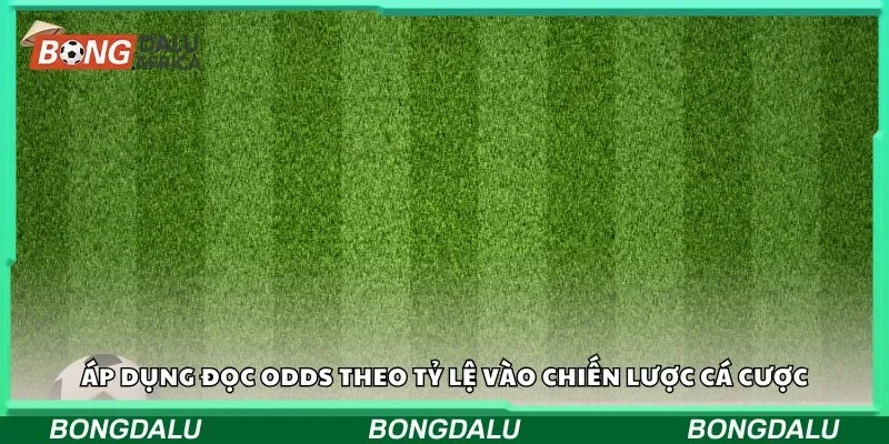 Áp dụng đọc odds theo tỷ lệ vào chiến lược cá cược