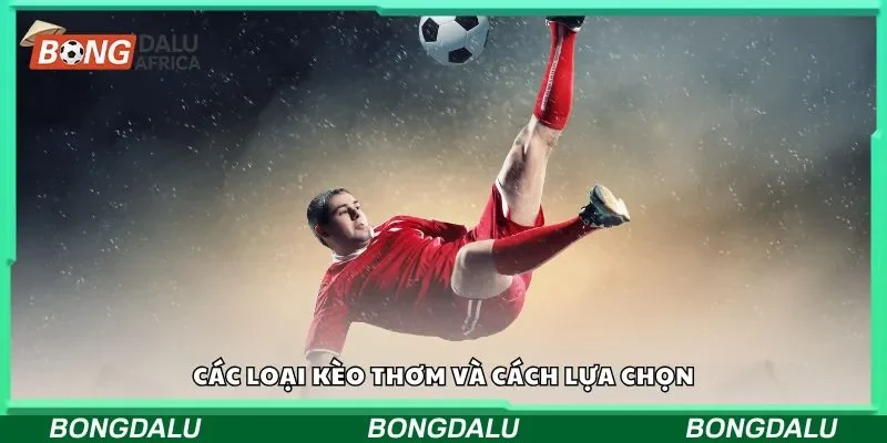 Các loại kèo thơm và cách lựa chọn