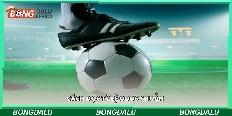 Cách đọc tỷ lệ odds chuẩn 