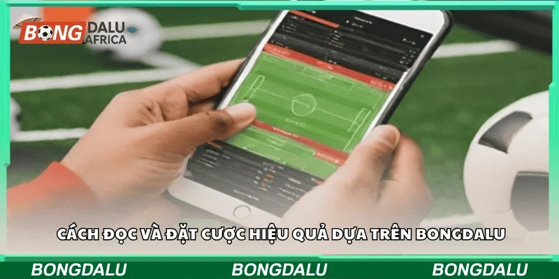 Cách đọc và đặt cược hiệu quả dựa trên Bongdalu