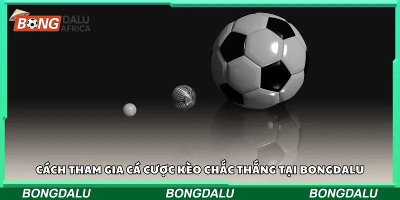 Cách tham gia cá cược kèo chắc thắng tại Bongdalu