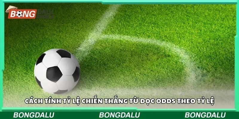 Cách tính tỷ lệ chiến thắng từ đọc odds theo tỷ lệ