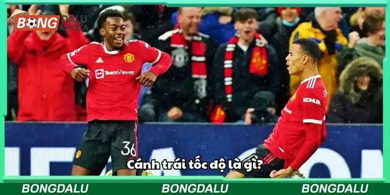 Cánh trái tốc độ là thuật ngữ ám chỉ vị trí hành lang trái của sân bóng