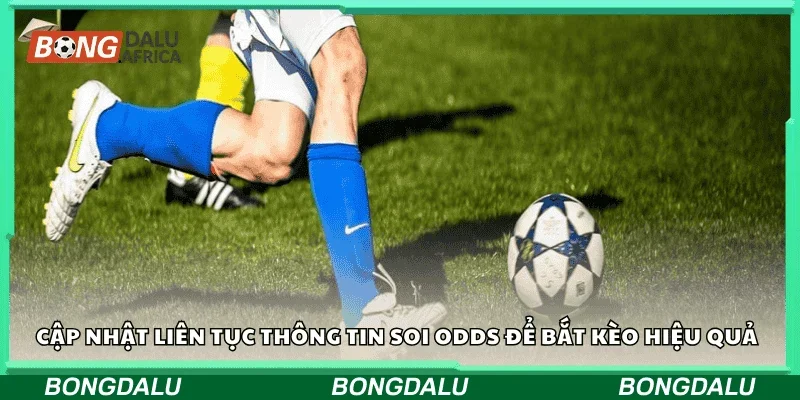 Cập nhật liên tục thông tin soi odds để bắt kèo hiệu quả