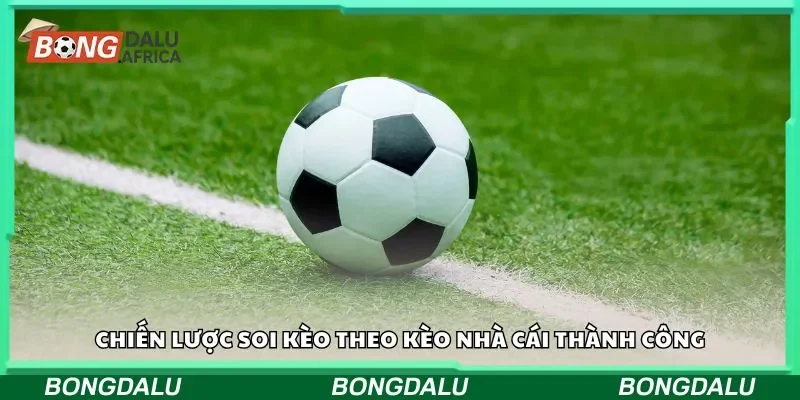 Tổng quan về soi kèo theo kèo nhà cái