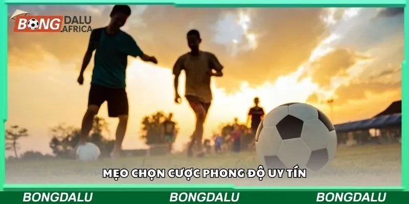 Mẹo chọn cược phong độ uy tín