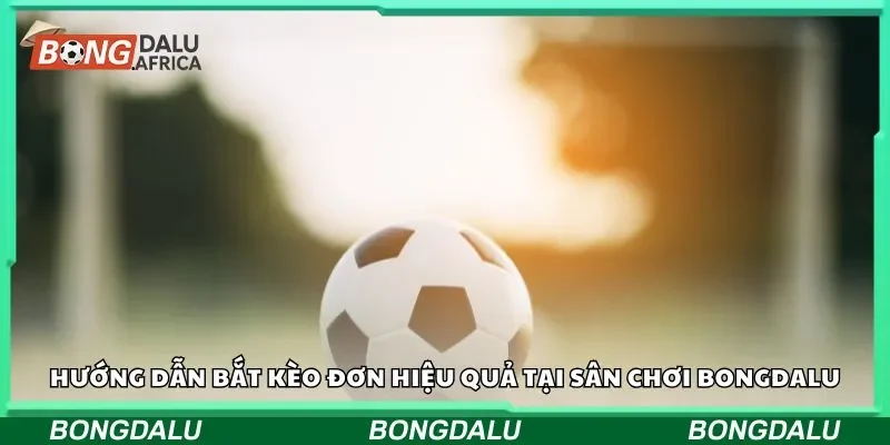 Hướng dẫn bắt kèo đơn hiệu quả tại sân chơi Bongdalu