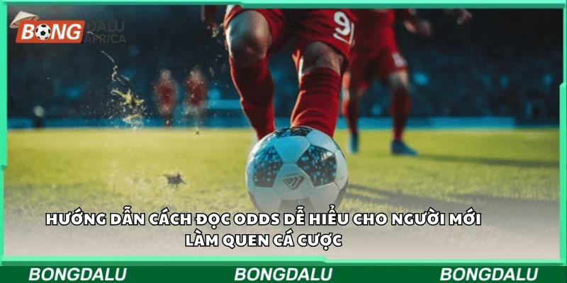 Hướng dẫn cách đọc odds dễ hiểu cho người mới làm quen cá cược