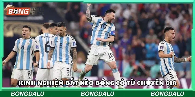 Kinh nghiệm chơi bắt kèo cược bóng cỏ