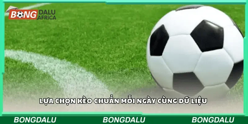 Lựa chọn kèo chuẩn mỗi ngày cùng dữ liệu