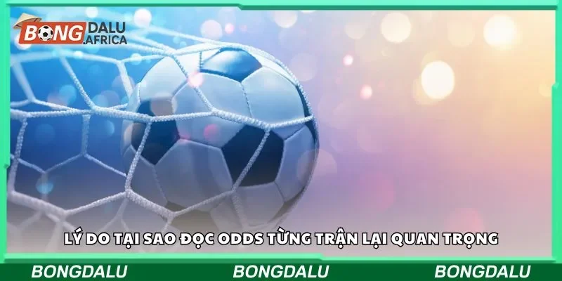 Lý do tại sao đọc odds từng trận lại quan trọng