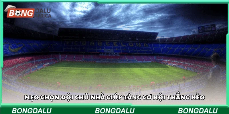 Mẹo chọn đội chủ nhà giúp tăng cơ hội thắng kèo