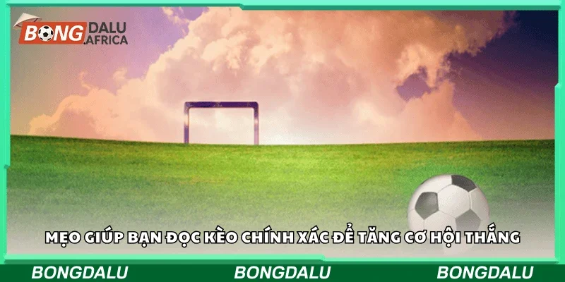 Mẹo giúp bạn đọc kèo chính xác để tăng cơ hội thắng