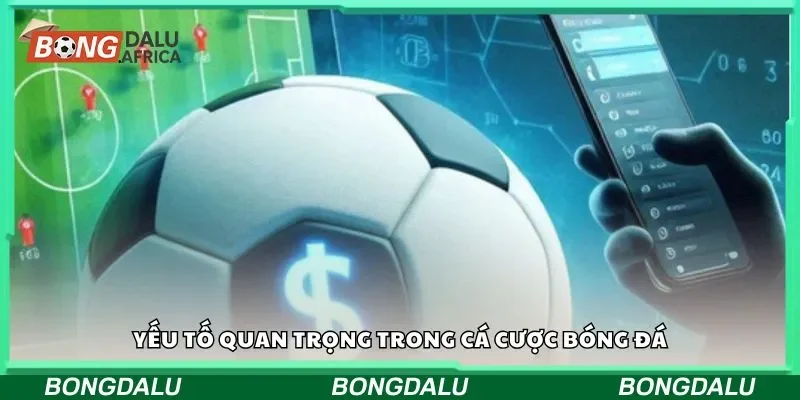 Yếu tố quan trọng trong cá cược bóng đá