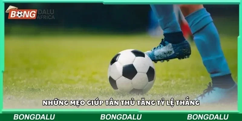 Những mẹo giúp tân thủ tăng tỷ lệ thắng