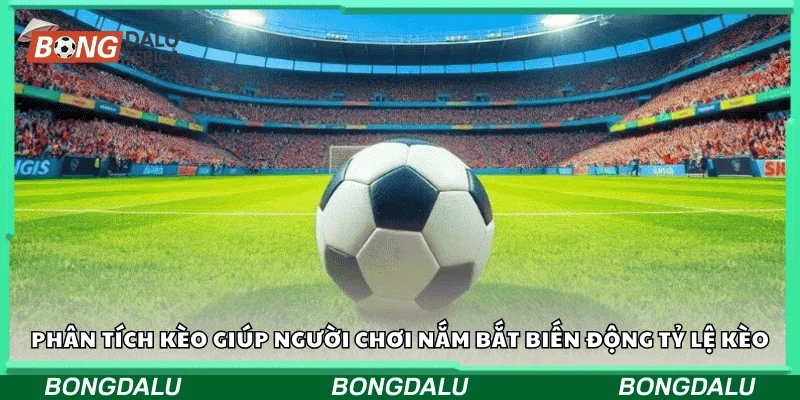 Phân tích kèo giúp người chơi nắm bắt biến động tỷ lệ kèo