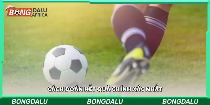 Cách đoán kết quả chính xác nhất