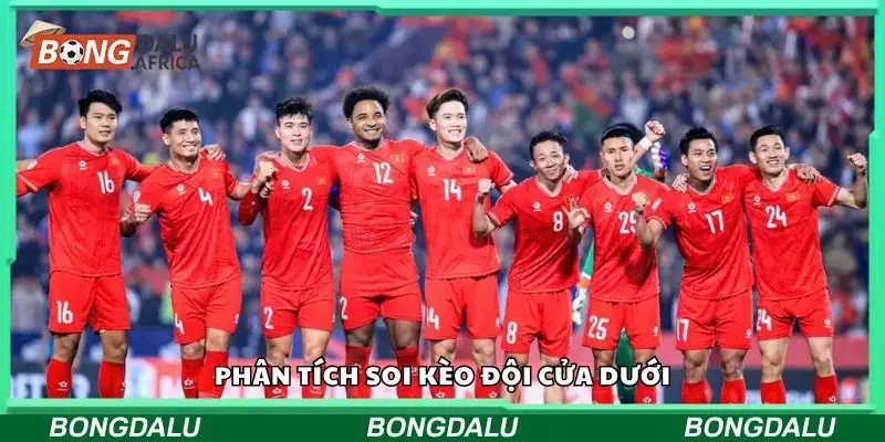 Phân tích về soi kèo đội cửa dưới