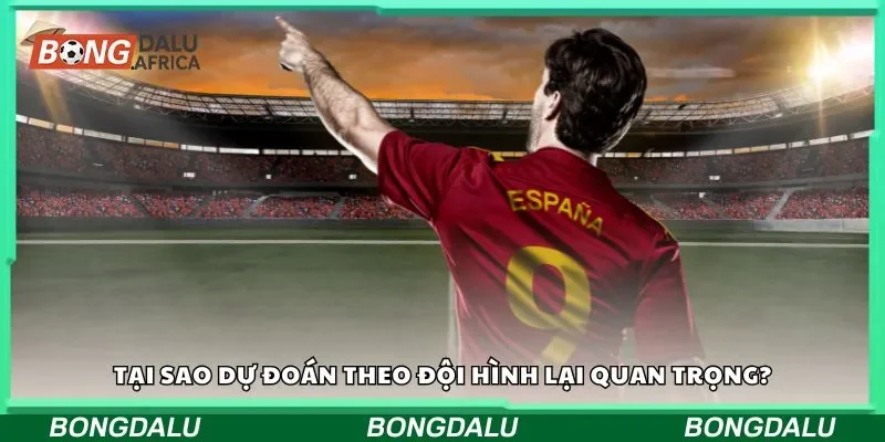 Tại sao dự đoán theo đội hình lại quan trọng?