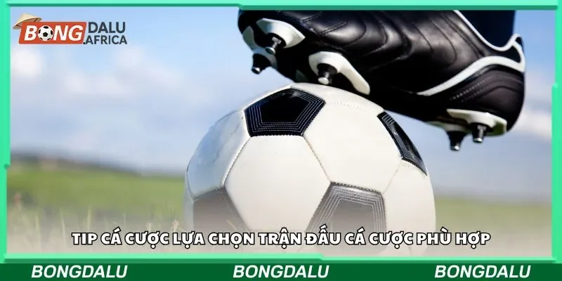 Tìm hiểu một số thông tin về tip cược bóng đá