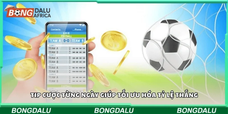 Tip cược từng ngày giúp tối ưu hóa tỷ lệ thắng