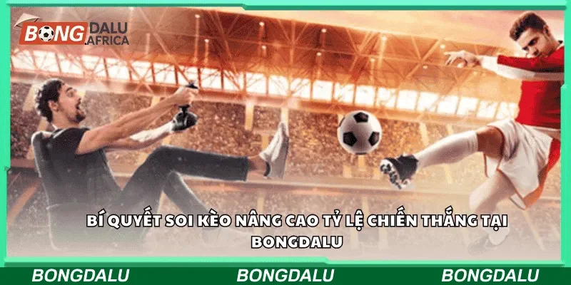 Bí quyết soi kèo nâng cao tỷ lệ chiến thắng tại Bongdalu