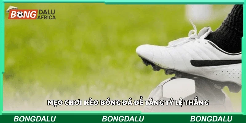 Mẹo chơi kèo bóng đá để tăng tỷ lệ thắng