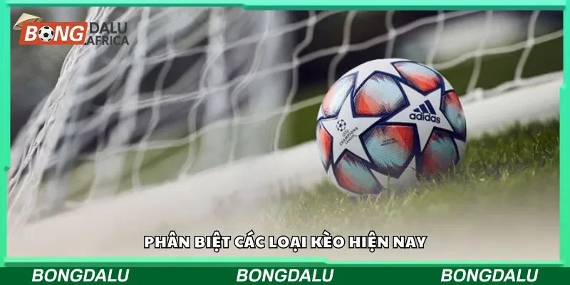 Phân biệt các loại kèo hiện nay