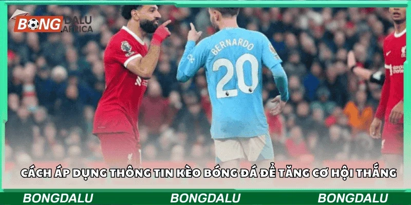 Cách áp dụng thông tin kèo bóng đá để tăng cơ hội thắng