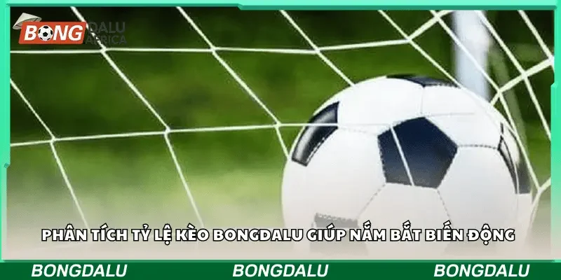 Phân tích tỷ lệ kèo Bongdalu giúp nắm bắt biến động