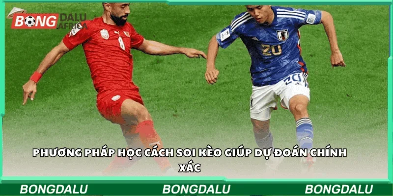 Phương pháp học cách soi kèo giúp dự đoán chính xác
